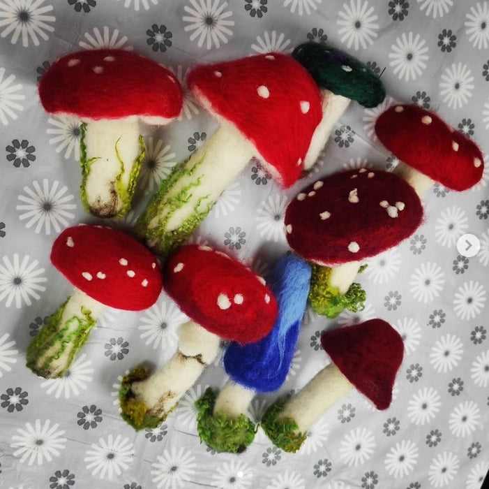 Autumn Needle Felting - Mushrooms, Toadstools & Forest finds - Friday 19th September 6pm-8pm