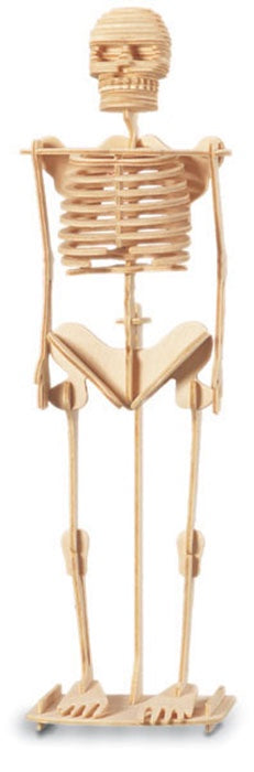 Woodcraft Kit - Skeleton
