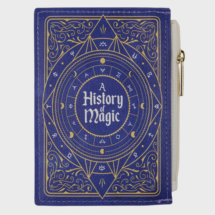 Coin Purse - A History of Magic