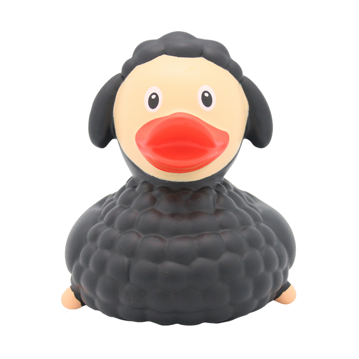 Black Sheep Duck