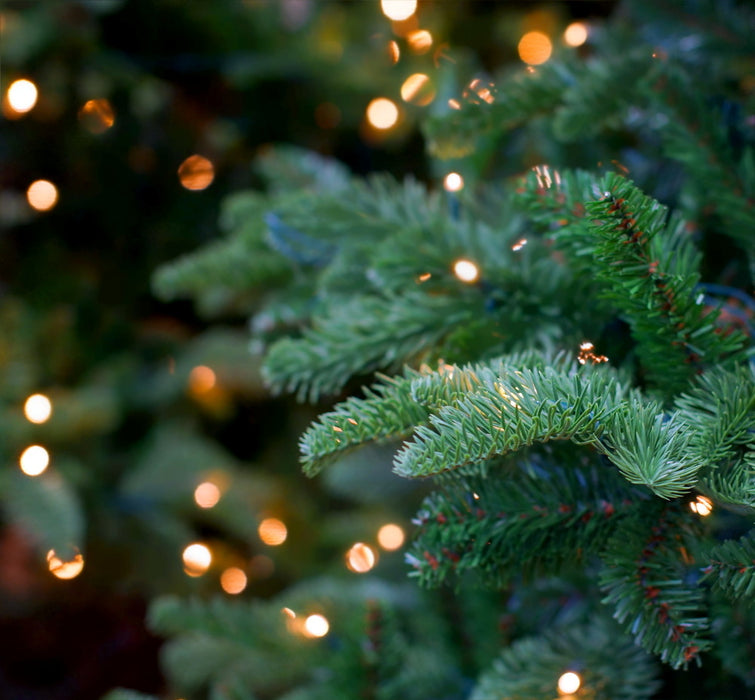 Christmas tree not delivered