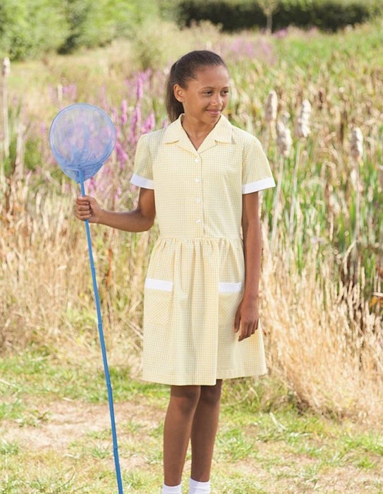 Ayr Summer Dress - colour options