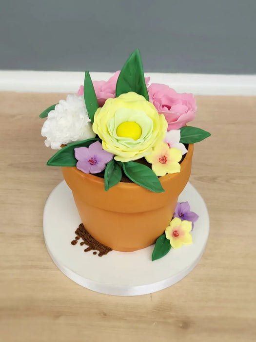 Decorate a beautiful Plant Pot Cake - Tuesday 23rd June 10am-2pm
