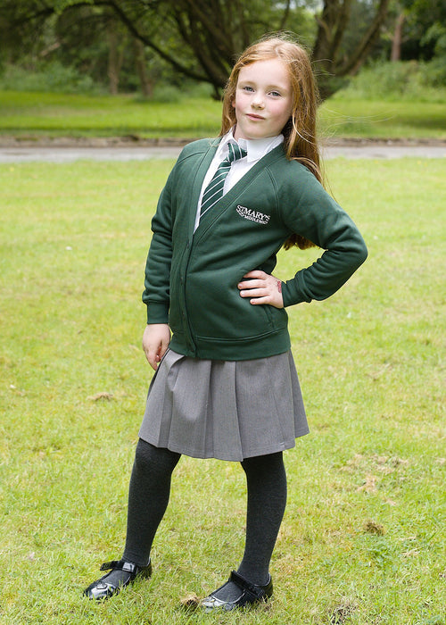 St Mary's Cardigan
