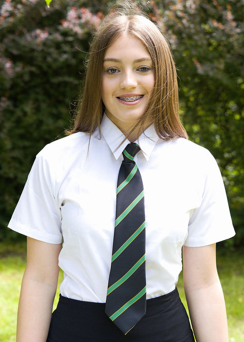 HCCS Tie - all colours
