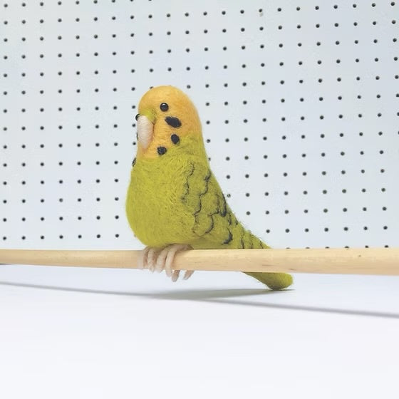 Budgie Felting kit - Green