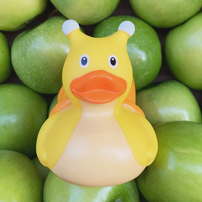 Snail Duck