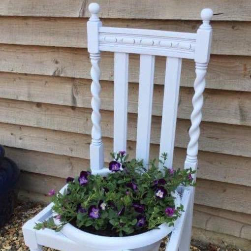 Parma Violet-Choose size
