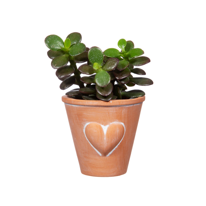 Mini Terracotta Planter with Heart