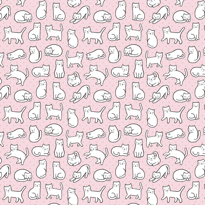 Cutie cat wrapping paper