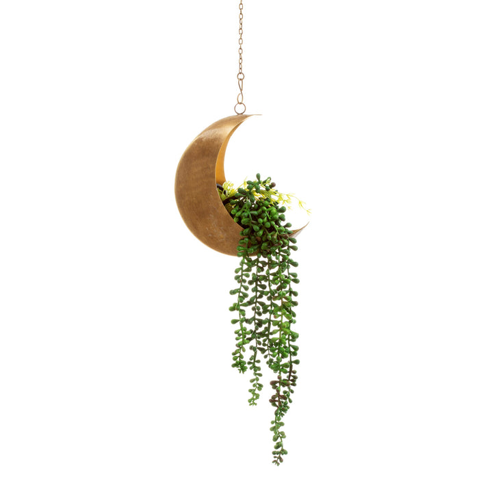 Celestial moon hanging planter